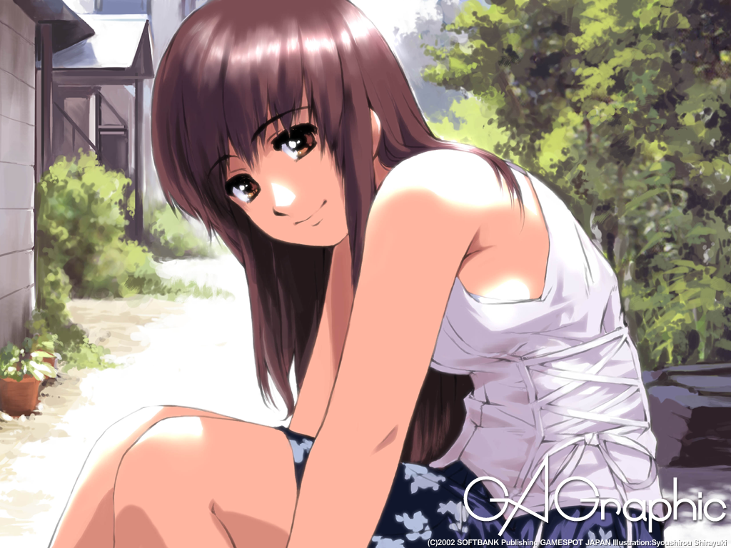 Post 22498