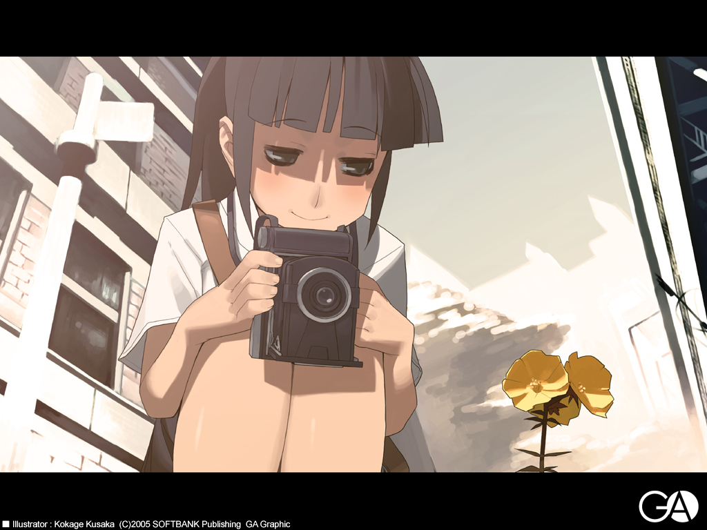 Post 7084