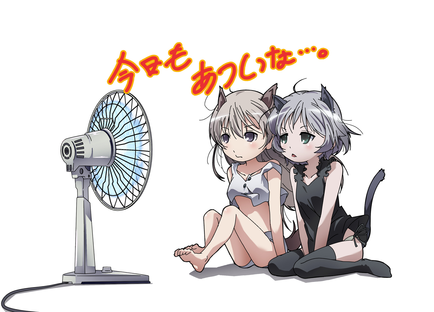 Post 80586