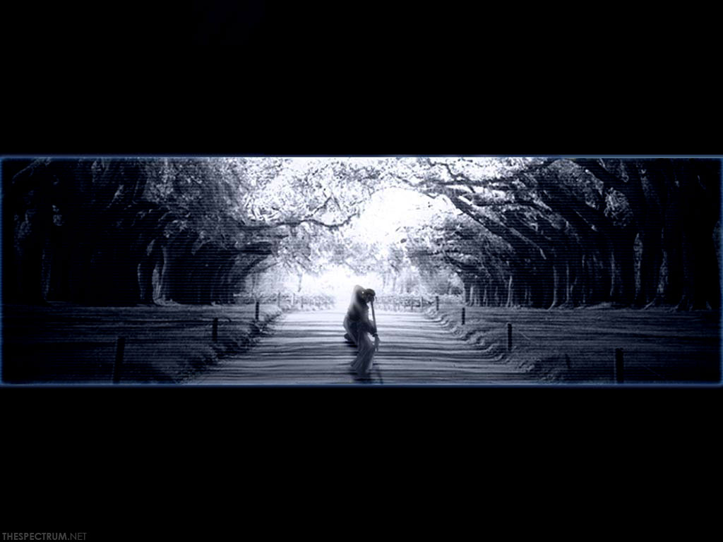 Post 23517