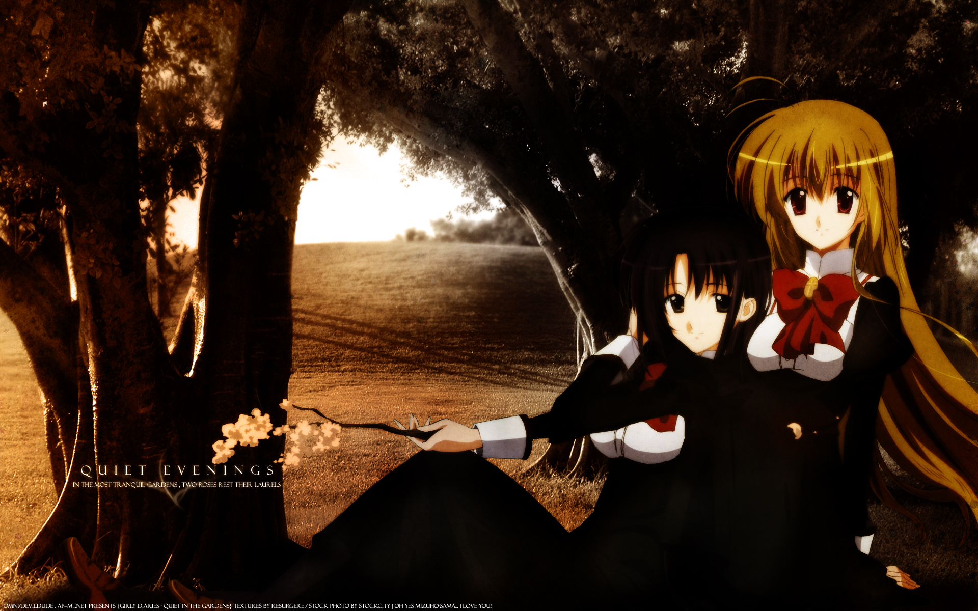 Post 8962