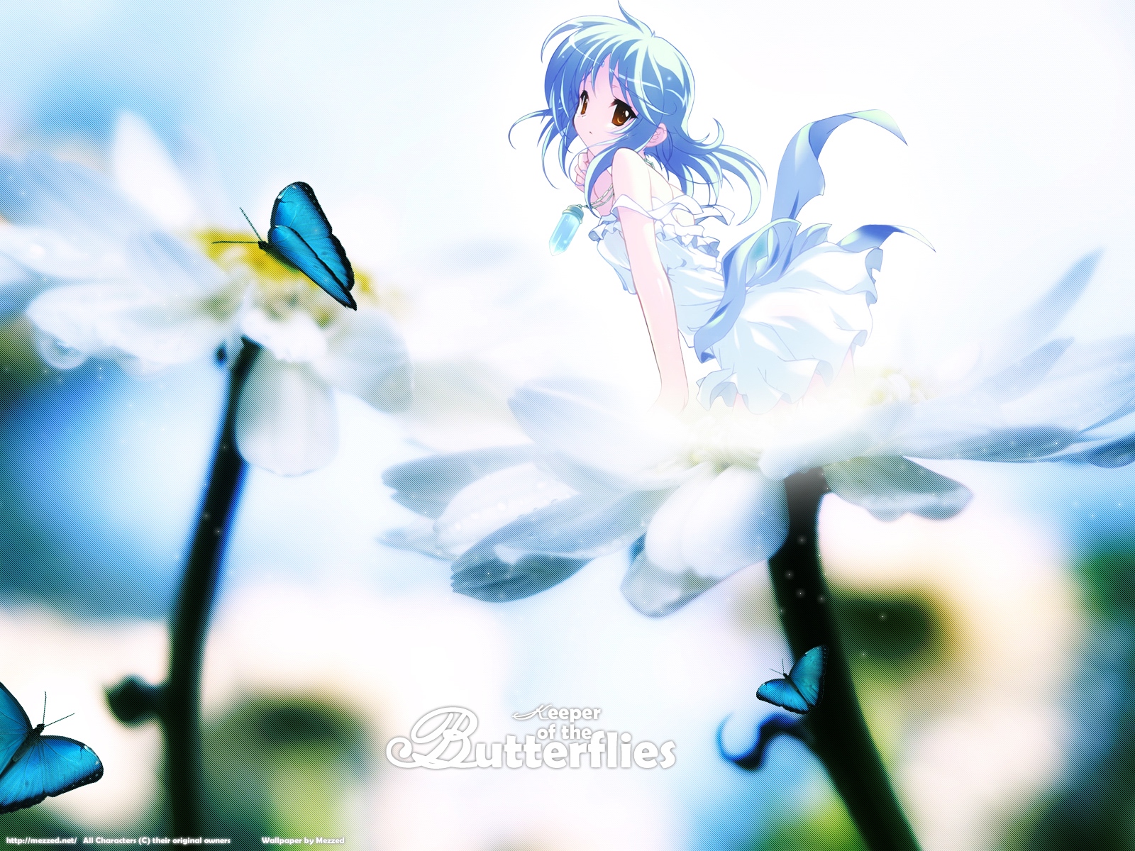 Post 33248