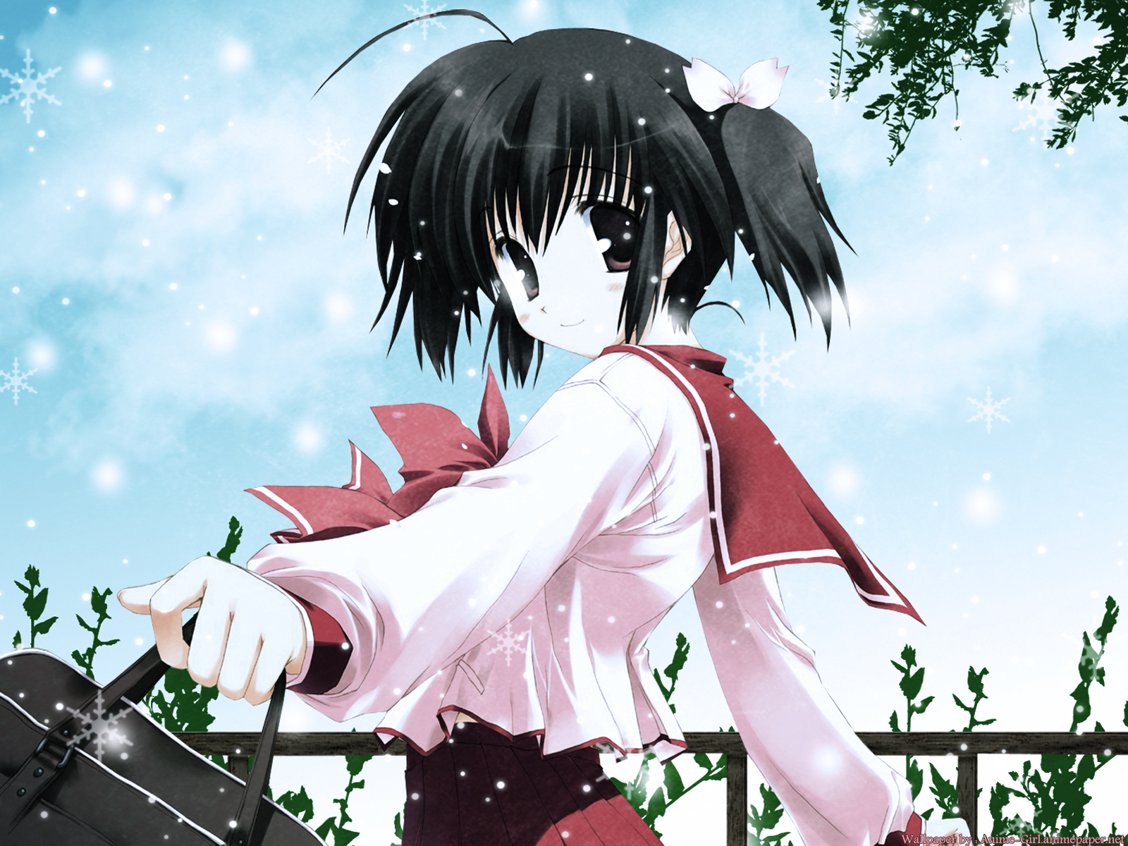 Post 2677