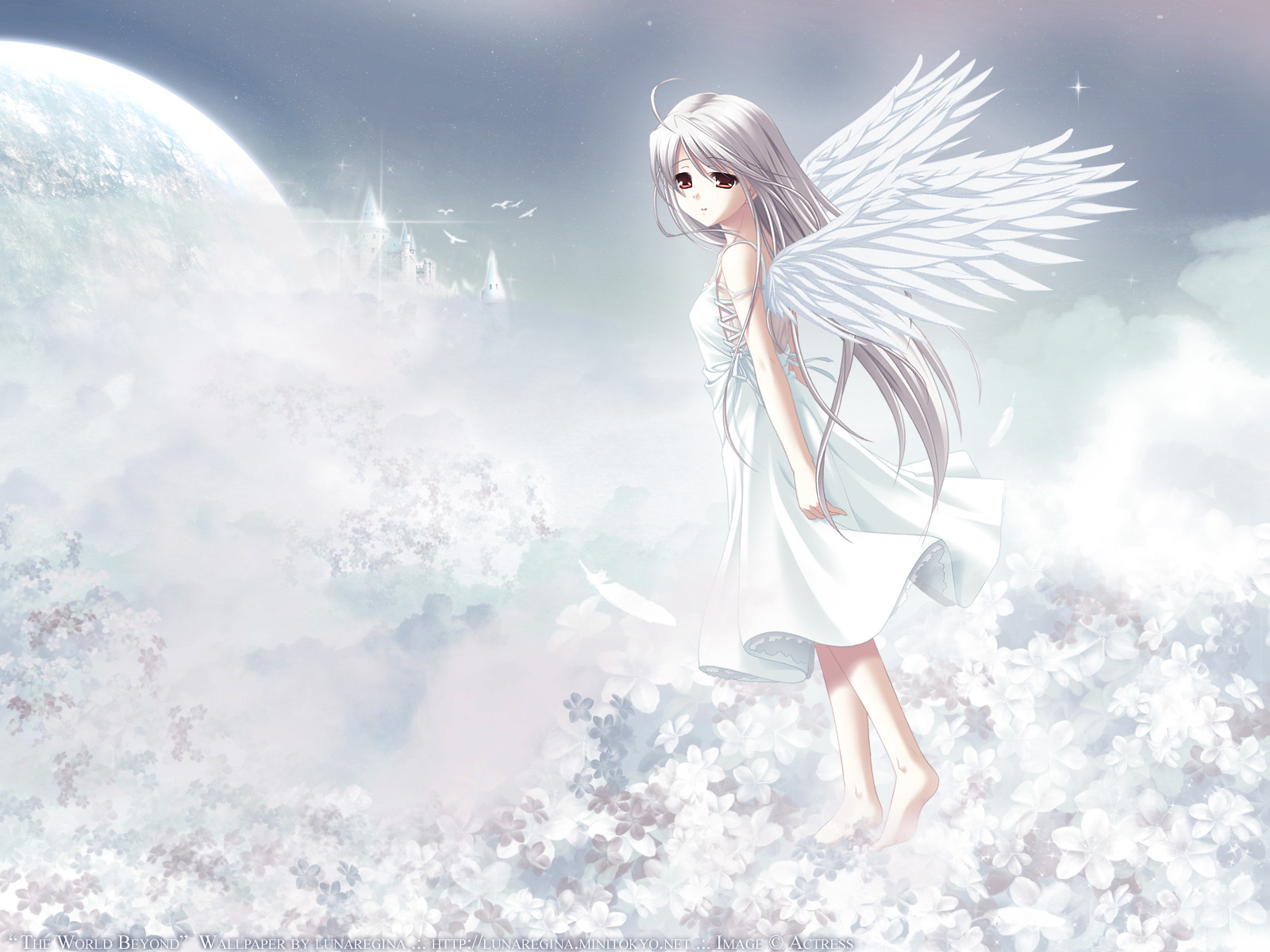 Post 13878