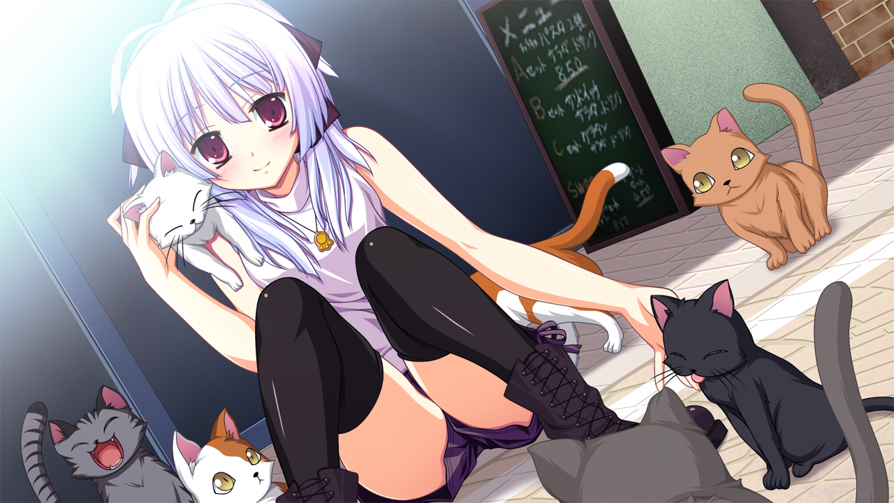 Post 90594
