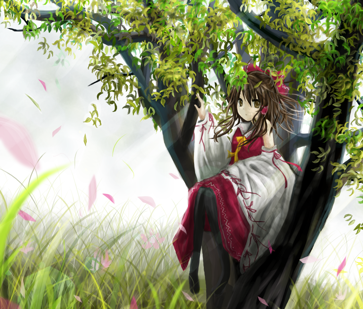 Post 85304