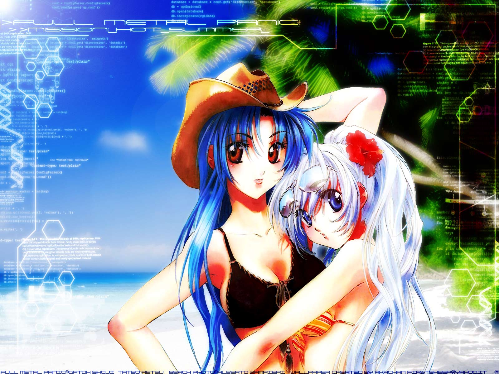 Post 20733