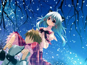 Post 49647
