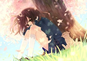 Post 70047