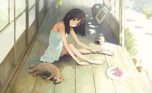 Post 55682