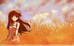 Post 71671