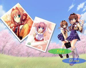 Post 9622