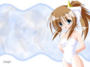 Post 9829