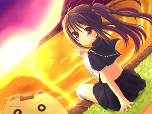 Post 40685