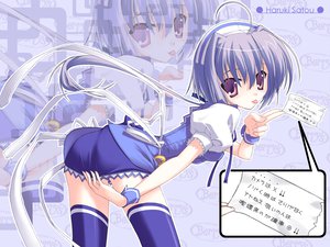 Post 7967
