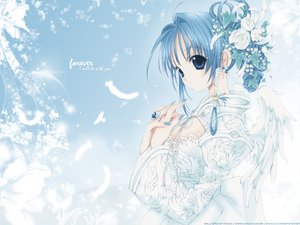Post 6618