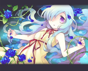 Post 40684