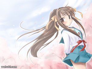 Post 22261