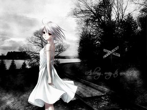 Post 1432