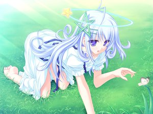 Post 55454