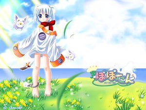 Post 9590