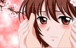 Post 37776
