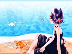 Post 4991
