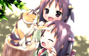 Post 70769