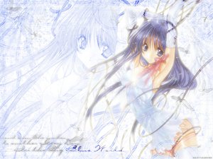 Post 12618