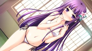 Post 77652