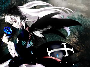 Post 17243