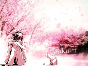Post 49073