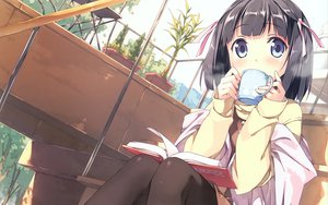 Post 97455