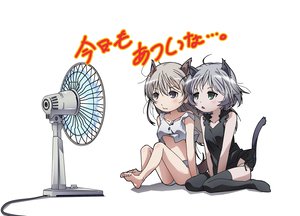 Post 80586