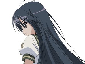Post 20076