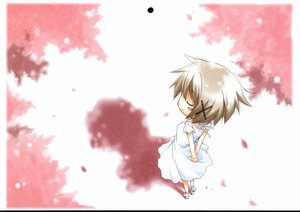 Post 13073