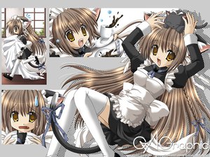 Post 7243