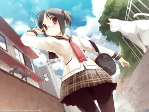 Post 7059
