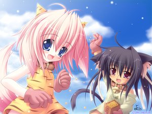 Post 56619