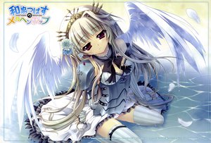 Post 96087