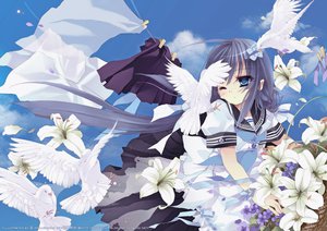 Post 80044