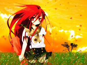 Post 25595