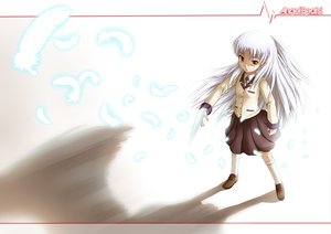 Post 85206