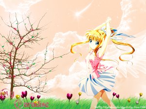 Post 23044