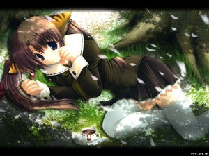 Post 13064