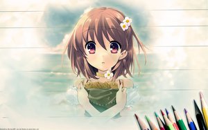 Post 95591