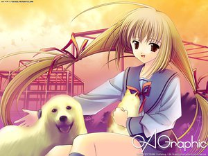 Post 7297