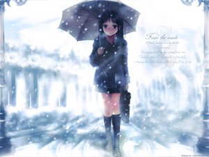 Post 28866