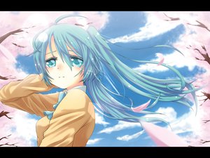 Post 70259