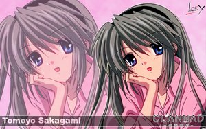 Post 2959